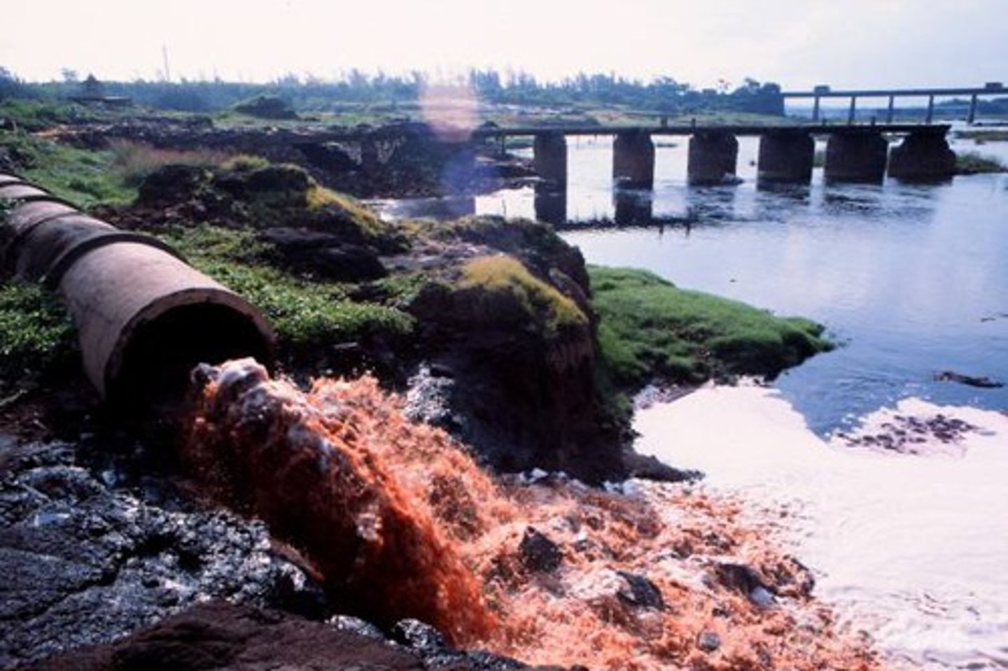 <p>liquid waste or sewage discharged into a river or the sea.</p>