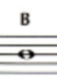 <p>B</p>