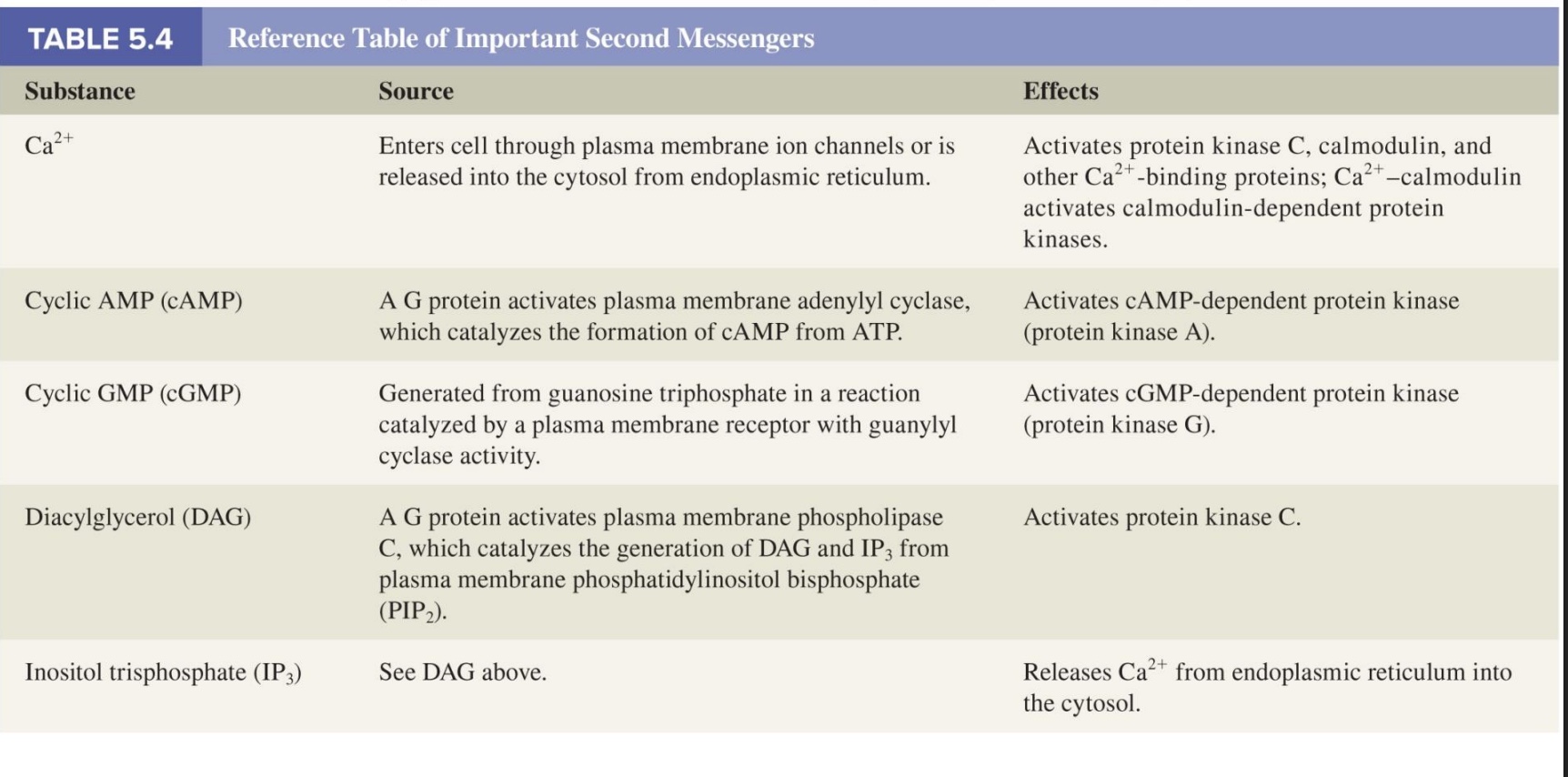 <p>*cAMP and cGMP similar idea</p>