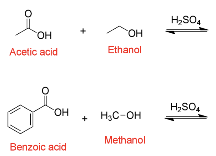 <p>Predict the product of these Fischer Esterification reactions?</p>