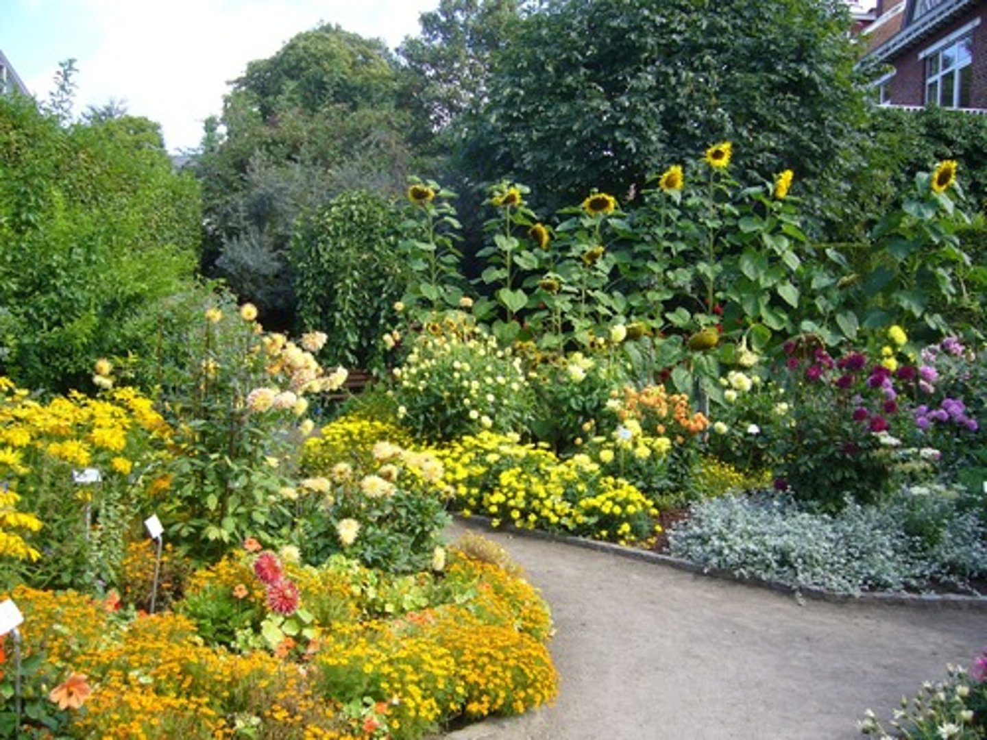 <p>They have a beautiful garden.</p>