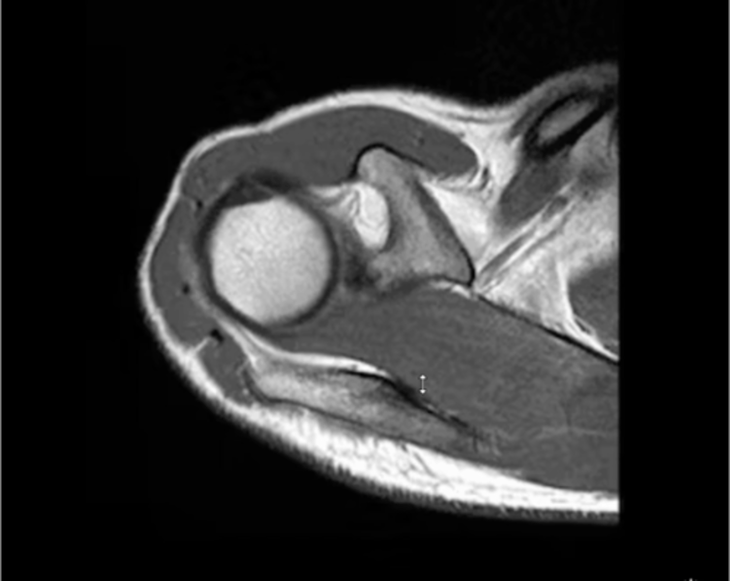 <p>What is this image depicting?</p>