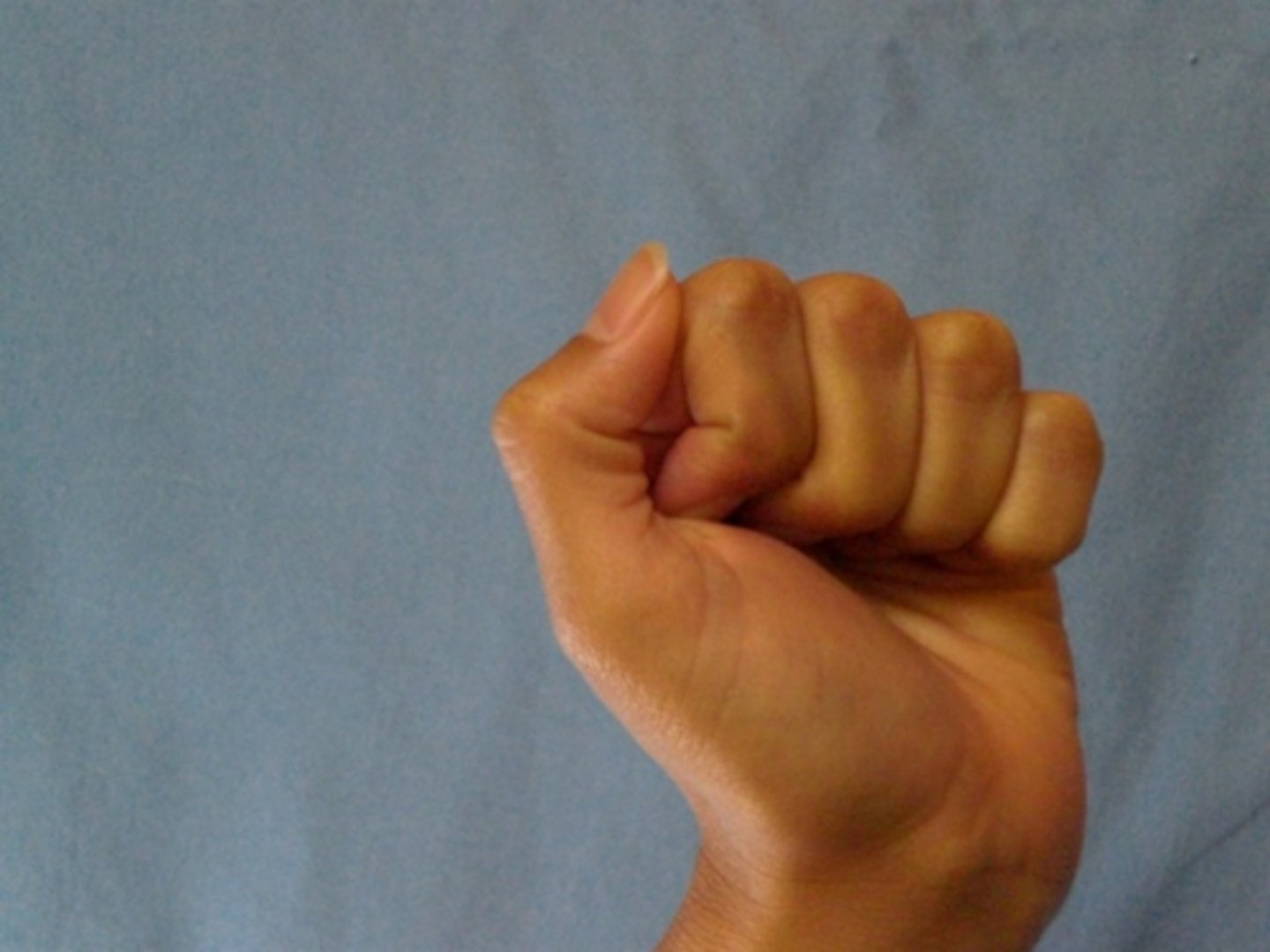 <p>FDP: composite flexion (picture)</p><p>FDS: flat fist</p>