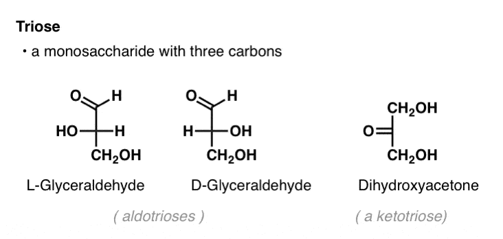 <p>Trioses</p>