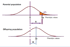 <p>mean of the selected group - mean of the population</p>