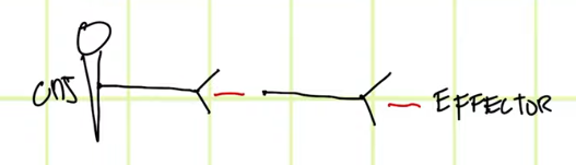 <p>The <strong>gaps </strong>in the system are called the?</p>