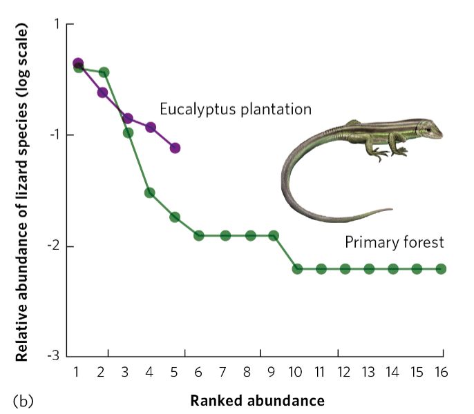 <p>Lizard communities in primary forests vs plantations in Brazil. Primary forest support ____ species richness, but ____ evenness in plantations</p>