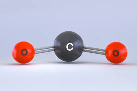<p>carbon dioxide</p>