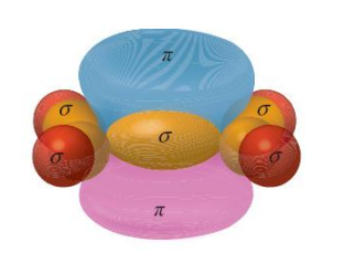 <p>The <span>π bonds involved in the double bond require a lot of energy to break and therefore allow rotation</span></p>