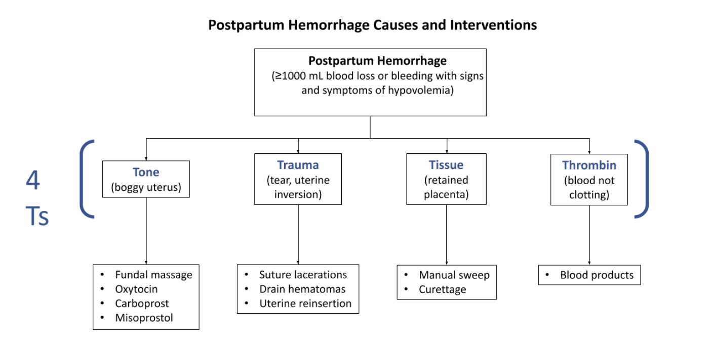 <ul><li><p>high parity</p></li><li><p>macrosomia</p></li><li><p>bladder distention</p></li><li><p>perineal trauma</p></li><li><p>history of uterine atony </p></li><li><p>long labor time</p></li></ul><p></p>