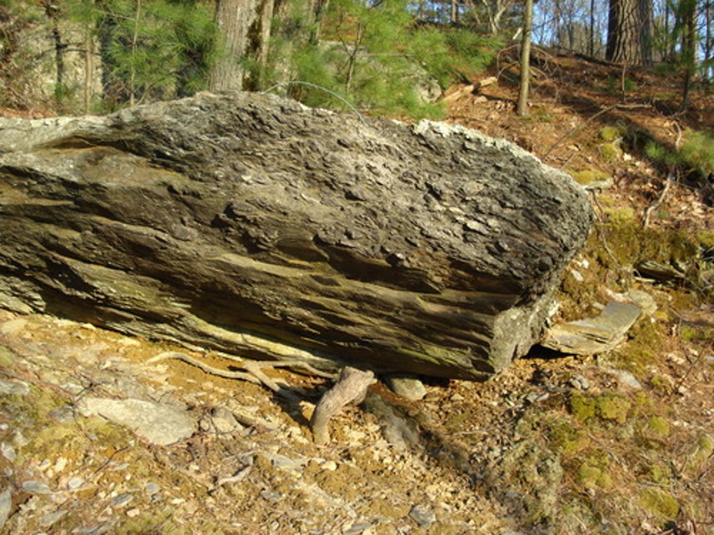 <p>Striped or banded, contains mostly Slate and Mica.</p>