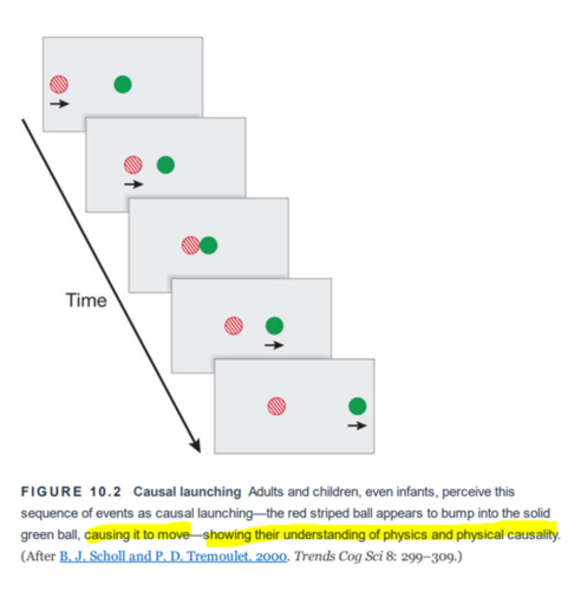 <p>Causation associated with a direction</p><p>In an animated display, the perception that one moving stimulus causes a stationary one to move (or "launch") when it collides with it</p><p>Both adults and children (even infants) perceive the stills as a sequence of events demonstrating causal launching</p>