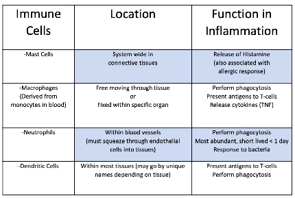Immune Cells Charts 