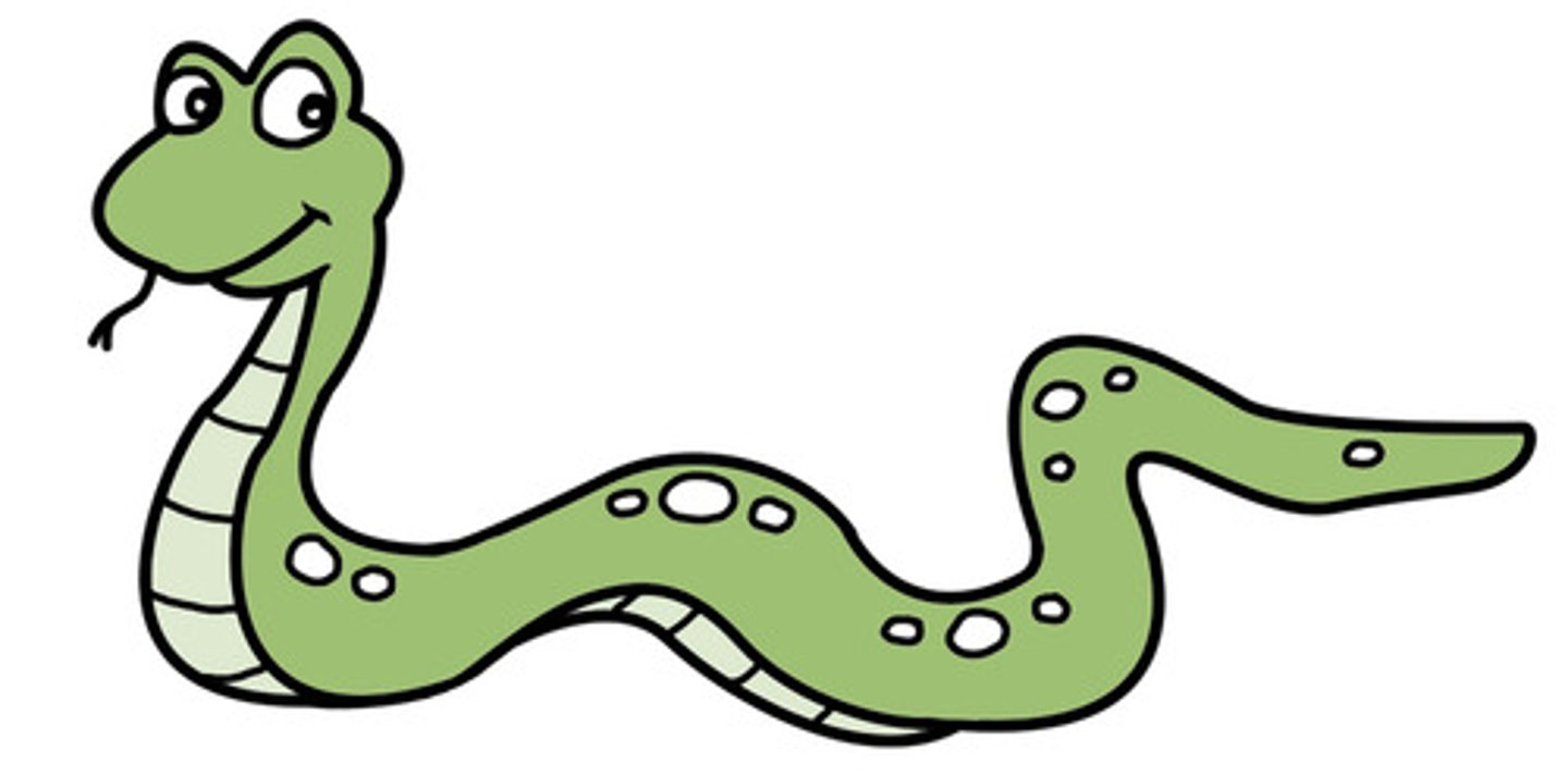 <p>snake</p>