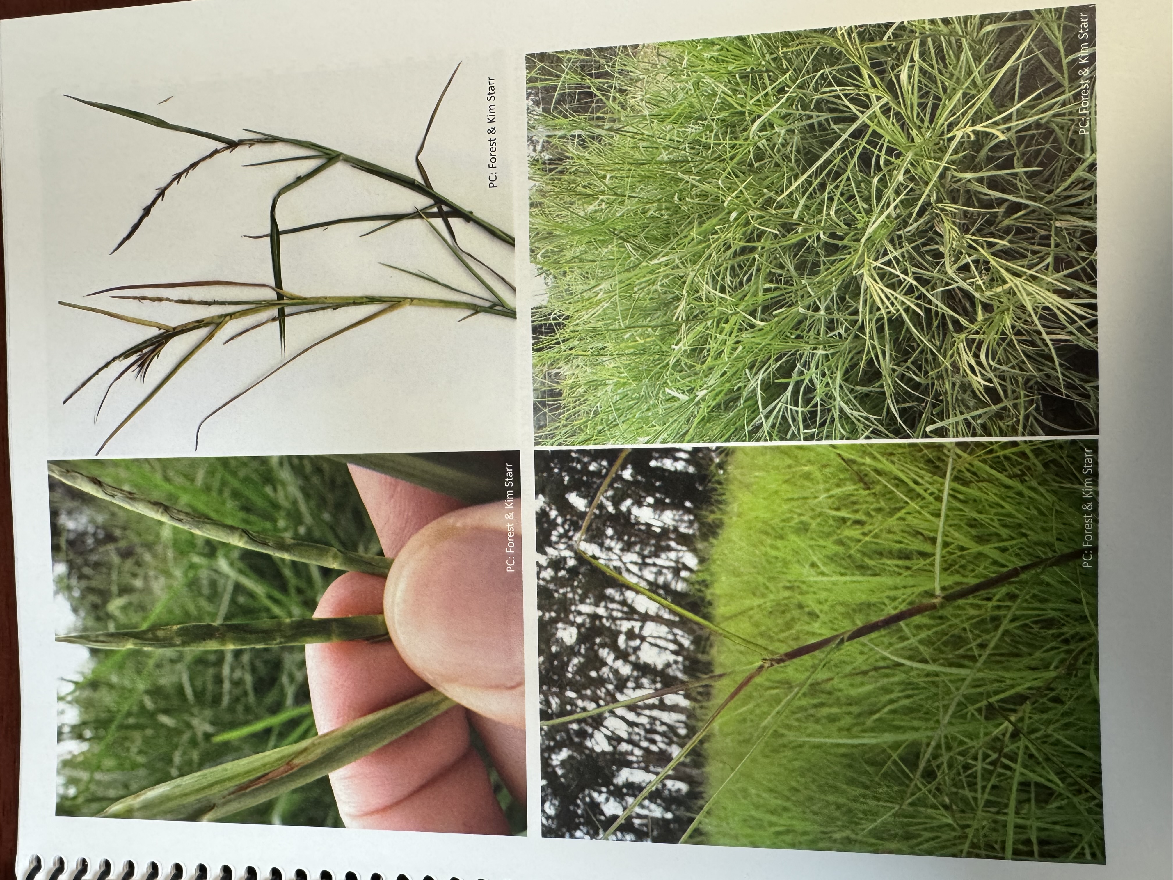 <img src="blob:null/f8e1a061-36e2-4da2-aa66-0cc4e80a761d"><p></p>