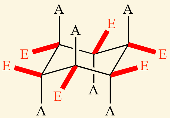 <p>axial bond</p><ul><li><p>straight up and down </p></li></ul><p></p>