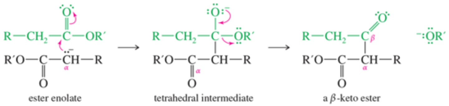 <p>The Claisen condensation results when an ester molecule undergoes nucleophilic acyl substitution by an enolate.</p>