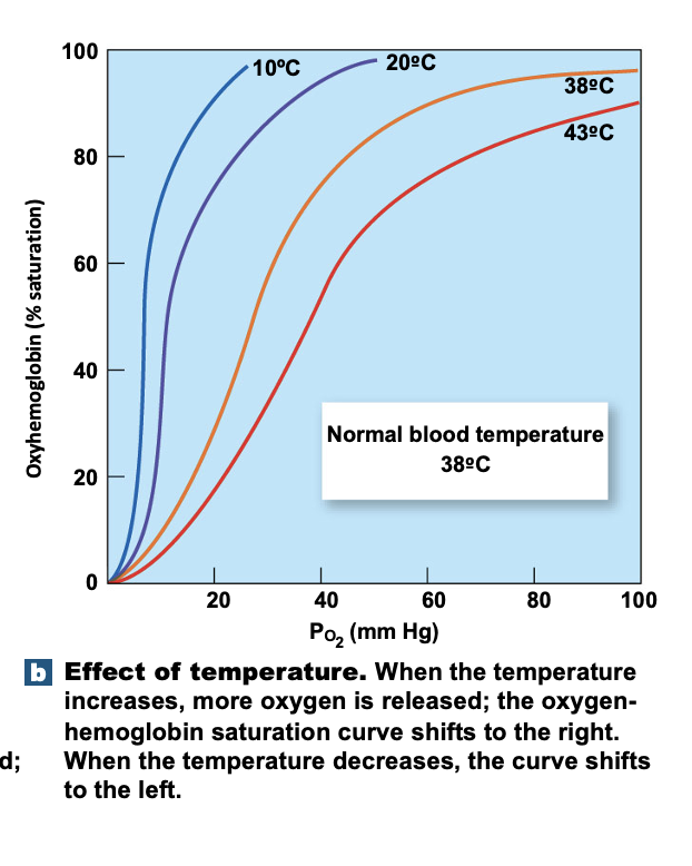 <p>temperature increases </p>