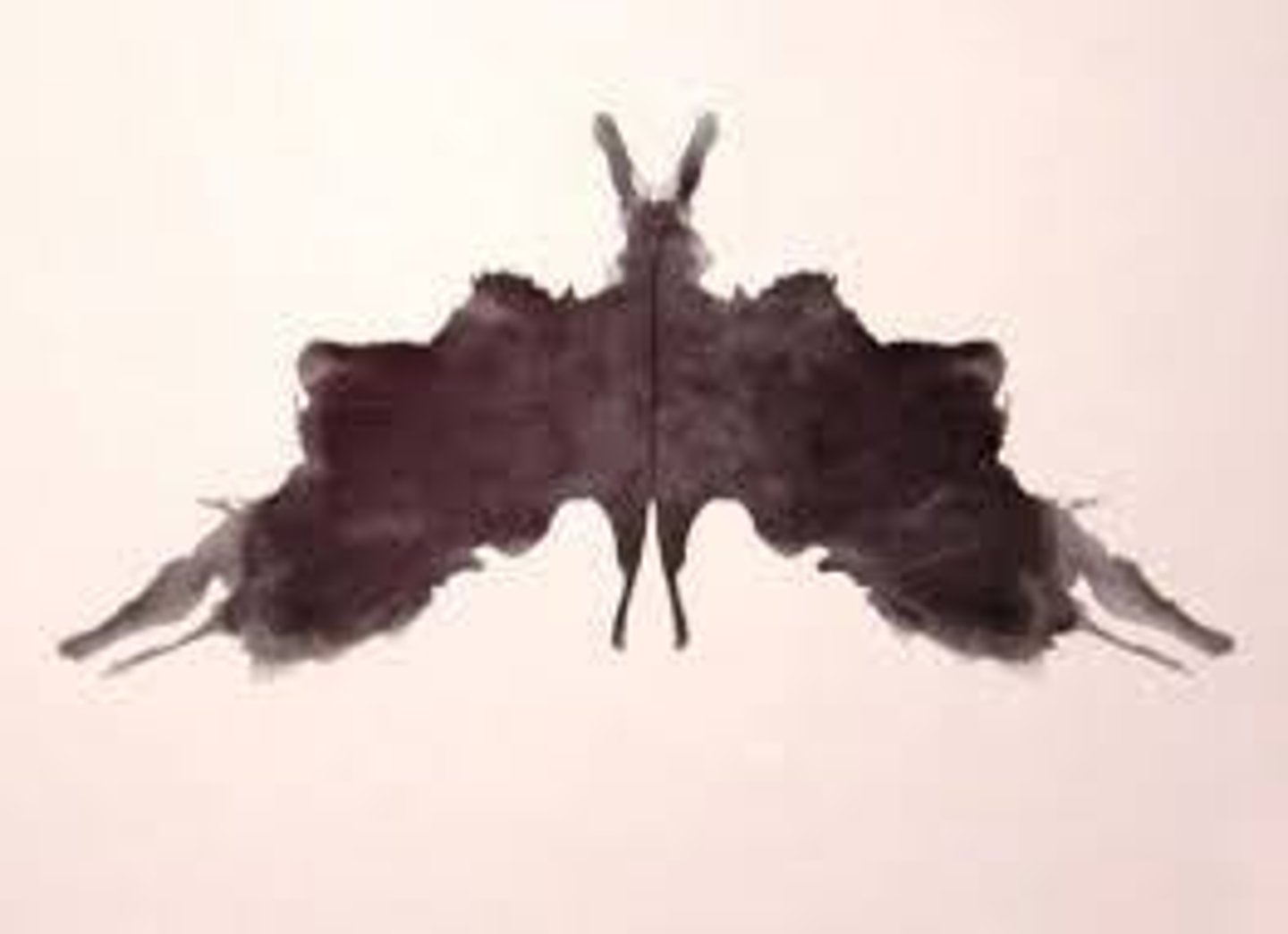 <p>Rorschach test and Thematic Apperception Test (TAT).</p>