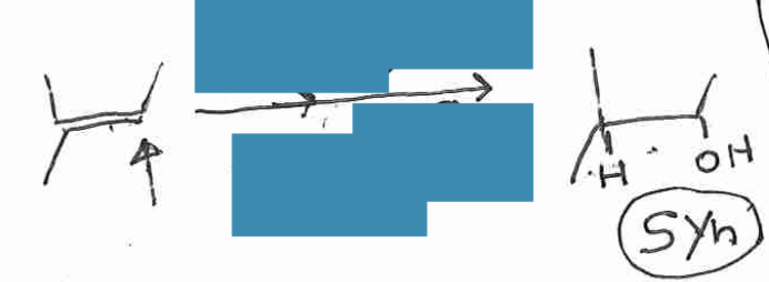 <p>Syn</p><p>Anti-MK</p>