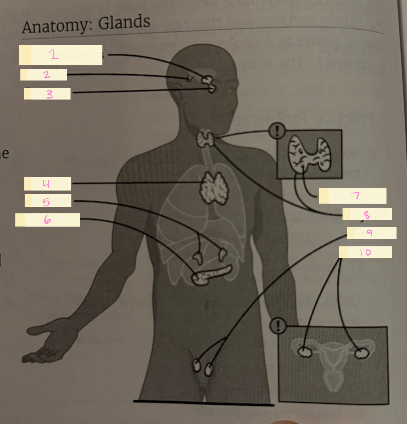 <p>What is number 9?</p>