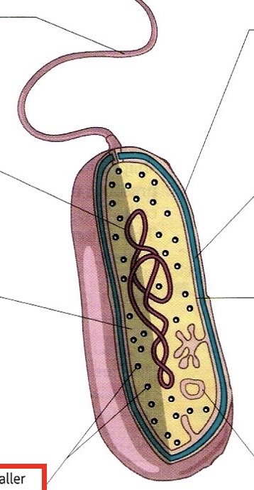 <p>Label the diagram</p>