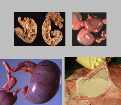 <p>What is this condition?</p>