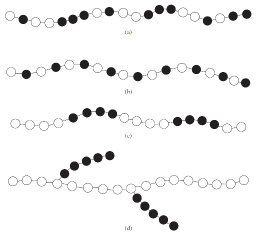 <p><span>Random copolymer - the two monomer units are distributed along the chain with no pattern.</span></p><p><span>Alternating copolymer - monomer types alternate.</span></p><p><span>Block copolymer - each type of repeat unit is clustered in regions (blocks) along the chain.</span></p><p><span>Graft copolymer - homopolymer chains are attached to a main homopolymer chain containing a different repeat unit.</span></p>