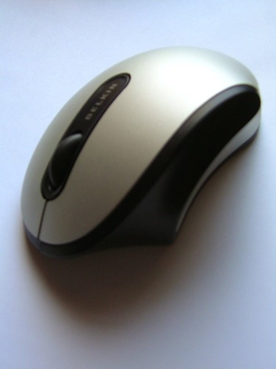 <p>the mouse</p>