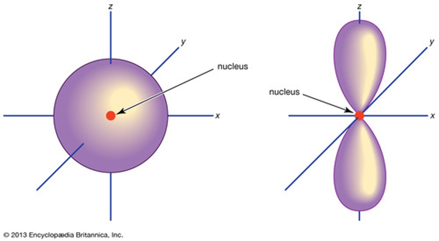 <p>- s orbitals are spherical shaped</p><p>- p orbitals are dumbbell shaped.</p>