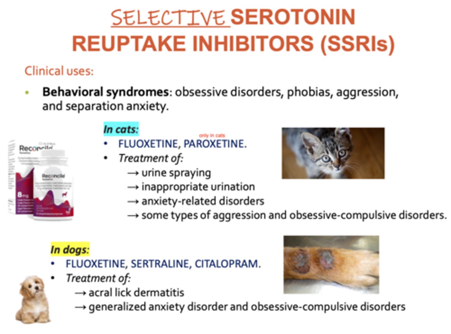 <p>obsessive disorders</p><p>phobias</p><p>aggression</p><p>separation anxiety</p><p>cats- fluoxetine and paroxetine are used for treating urine spraying, inappropriate urination, anxiety disorders, aggression, obsessive compulsive disorders</p><p>dogs- fluoxetine, sertraline, and citalopram are used to treat acral lick dermatitis, anxiety disorders, and obsessive compulsive disorders</p>