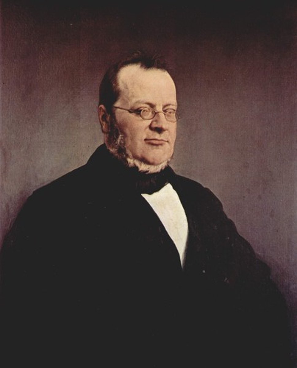 <p>prime minister of Piedmont-Sardinia who used diplomacy and alliances to unify northern Italy, especially through an alliance with France in 1859.</p>