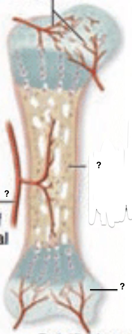 <p>Step 3. </p><p>Label (from top to bottom)</p>