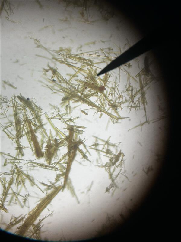 <p>Identify name and describe the osazone.</p>