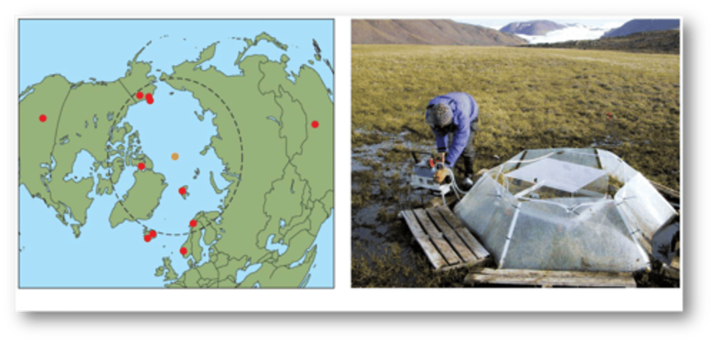 <p>network of arctic and alpine research sites throughout the world where experimental and observational studies have been established by using standardized protocols to measure responses of tundra plants and plant communities to increased temperature.</p>