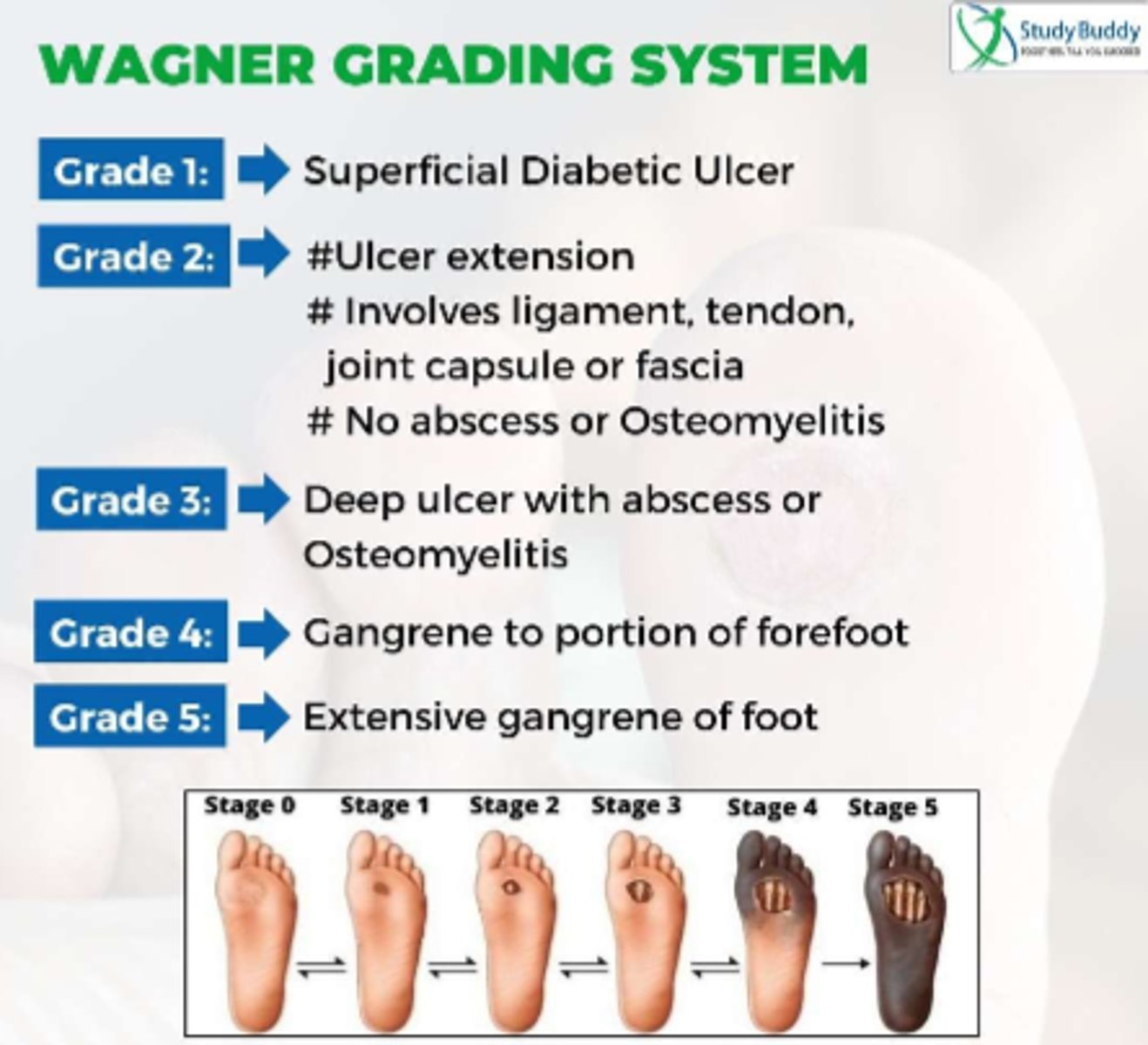 <p>assesses diabetic ulcer depth and the presence of osteomyelitis or gangrene using different "grades"</p>