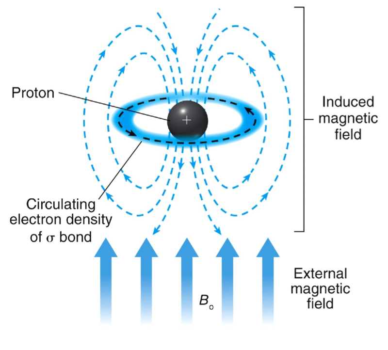 <ul><li><p>electrons swirl around the central nucleus</p></li><li><p>in an applied magnetic field, valence electrons are caused to circulate</p></li><li><p>this generates a counter magnetic field which opposes the applied field</p></li><li><p>lower energy difference between spin states</p></li><li><p>lower energy requires to flip spin states</p></li></ul><p></p>