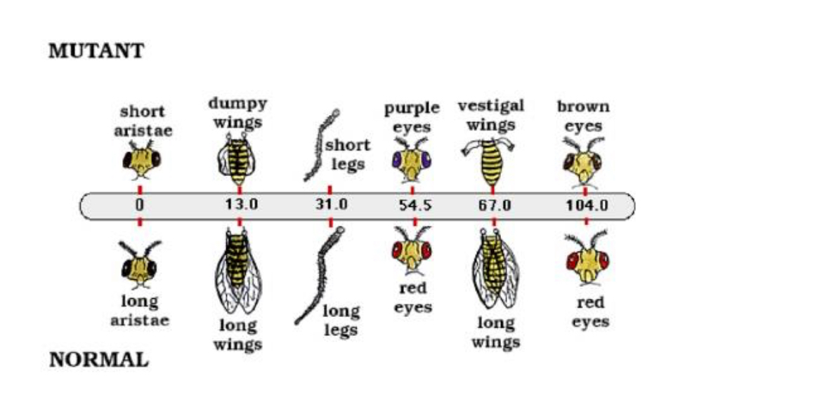 <p>This shows what </p>