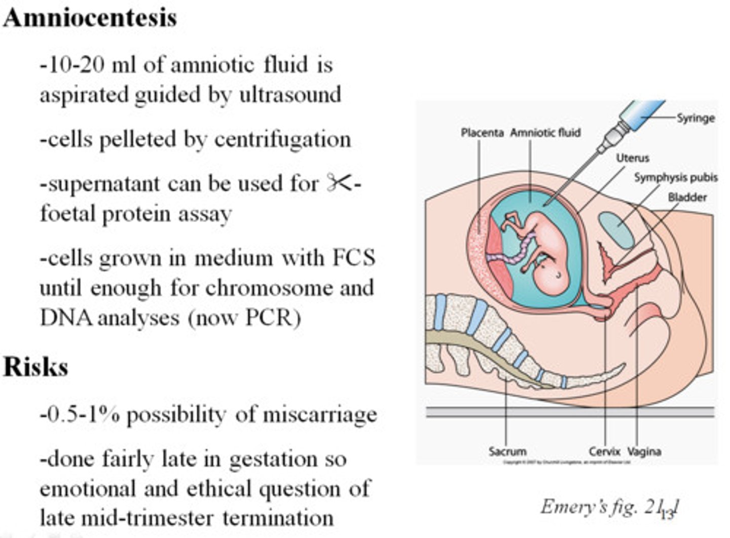 <p>After 14 weeks gestation</p>