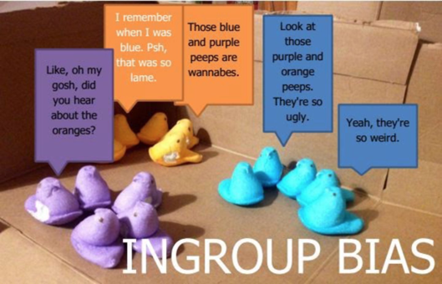 <p>The tendency to favor one's own group (ingroup) over others (outgroup), leading to ingroup bias; example: Favoring your school's sports team over a rival team.</p>
