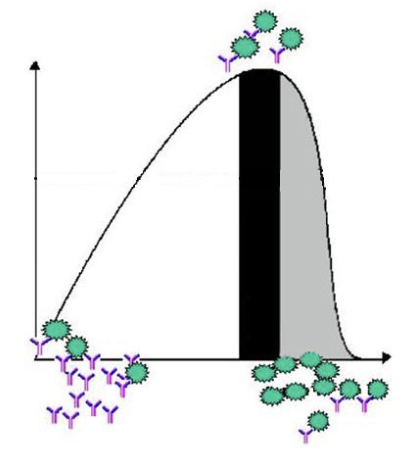 <p>this is the Heidelberger-Kendall Curve. in the (color: white, black, grey) ____ zone, there is <strong>excess antigen</strong>.</p>