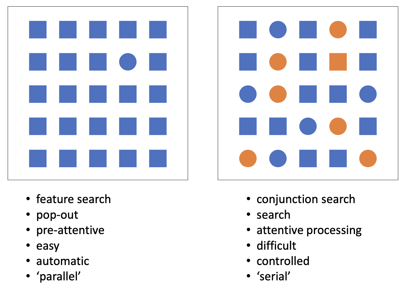 <ul><li><p><mark data-color="red" style="background-color: red; color: inherit;">Posner (spatial) cueing task</mark></p><ul><li><p>Press a button as quickly as possible when you see a light, left or right of fixation</p></li><li><p>﻿﻿A cue indicates the most likely location of the light (<mark data-color="blue" style="background-color: blue; color: inherit;">80%</mark>)</p></li><li><p>﻿﻿Hold your eyes still in the middle</p></li></ul></li></ul><p>SO:</p><ul><li><p>Central arrow <mark data-color="green" style="background-color: green; color: inherit;">predicts</mark> the location of the target</p></li></ul><ul><li><p class="p1">Subjects attend the cued location (<mark data-color="green" style="background-color: green; color: inherit;">top-down attention</mark>!)</p></li><li><p class="p1"><mark data-color="green" style="background-color: green; color: inherit;">Allocation of attention</mark> <mark data-color="green" style="background-color: green; color: inherit;">reduces</mark> reaction times</p></li></ul><p class="p1"><span>&nbsp;</span>→ Reaction times allow us to examine the<mark data-color="green" style="background-color: green; color: inherit;"> allocation of attention</mark></p><ul><li><p><mark data-color="red" style="background-color: red; color: inherit;">Visual search task</mark></p><ul><li><p>Feature search / Conjunction search</p></li></ul></li></ul><p>SO:</p><ul><li><p>Reaction times indicate whether attention is required in visual search</p></li><li><p>Reaction time increase as <mark data-color="green" style="background-color: green; color: inherit;">a function of set size</mark> implies <mark data-color="green" style="background-color: green; color: inherit;">attention shifts</mark> from <mark data-color="green" style="background-color: green; color: inherit;">item to item</mark> to detect the target</p><ul><li><p><mark data-color="blue" style="background-color: blue; color: inherit;">steep</mark> search slope = <mark data-color="blue" style="background-color: blue; color: inherit;">attention</mark></p></li><li><p><mark data-color="blue" style="background-color: blue; color: inherit;">flat</mark> search slope = <mark data-color="blue" style="background-color: blue; color: inherit;">no</mark> attention</p></li></ul></li></ul><p></p>