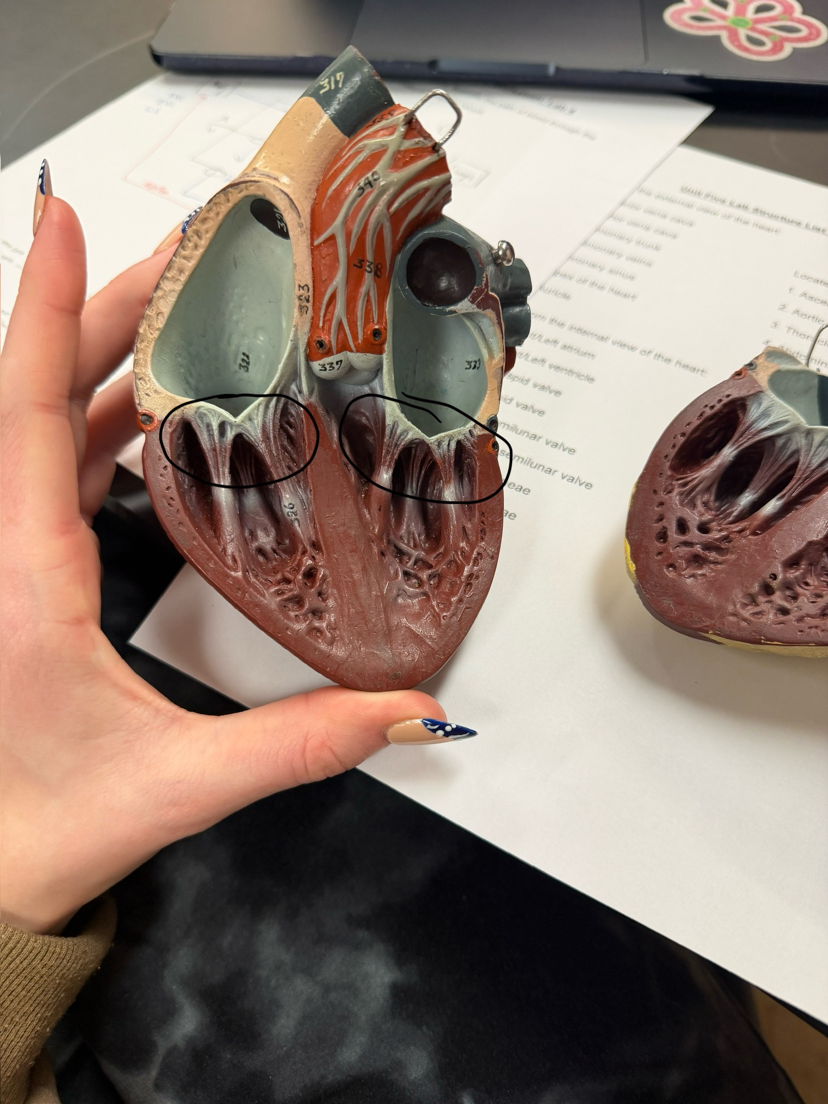 <p>name this structure</p>