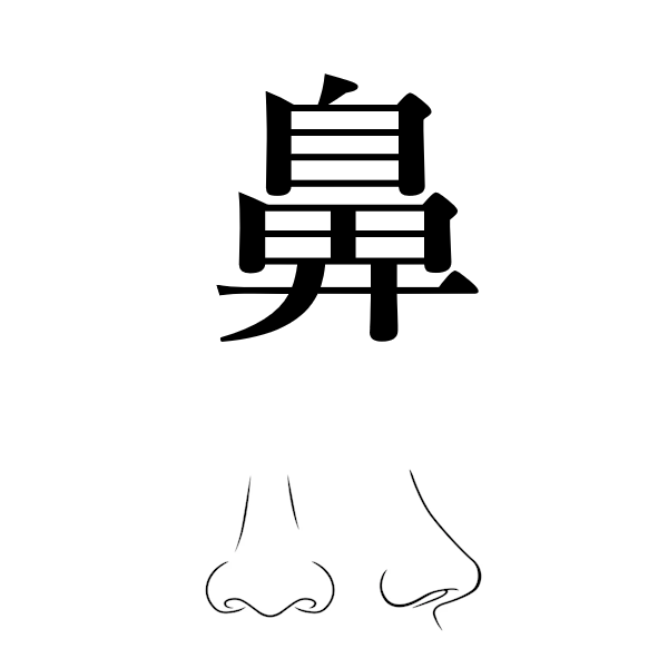 <p>нос</p>