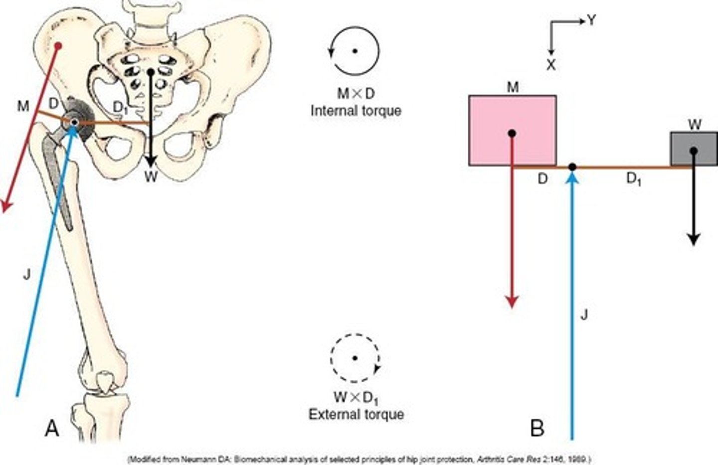 <p>Internal forces and external forces that can make us move</p>