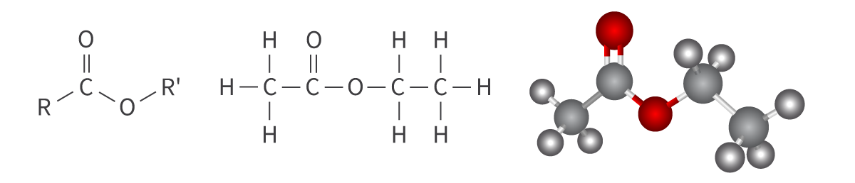 <ul><li><p>ester functional group</p></li><li><p>carbonyl group bonded to oxygen atom</p></li><li><p>single bond, asymmetric</p></li><li><p>pleasant tastes and smells</p></li></ul><p>Bond: <span>RCOOR'</span></p>