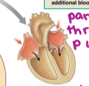 <p>atrial contraction forces a small amount of additional blood into ventricles </p>