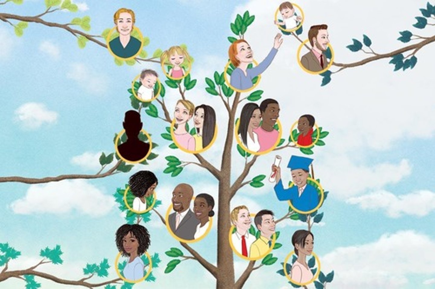 <p>family tree</p>