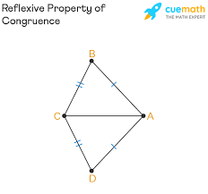 <p>Reflexive </p>