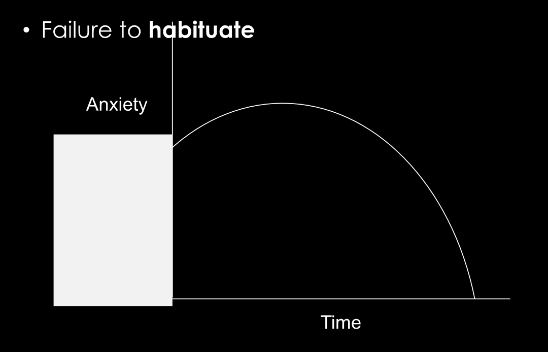 <ul><li><p><strong>failure to habituate</strong>: anxious feelings dont go away, person does not get used to situation. anxiety levels stay high even after much time has passed</p><p></p></li></ul>